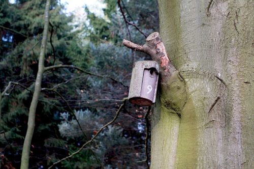 nesting box aviary forest