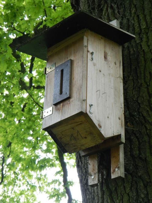 nesting box aviary bird feeder
