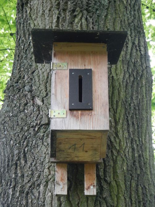 nesting box aviary bird feeder