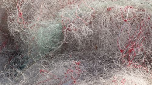 net fishing fishnet