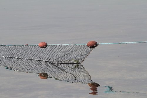 net  fishing  sea