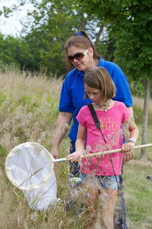 net insects catch