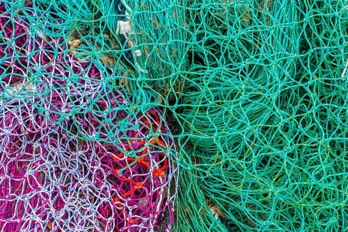 net  fishing  color