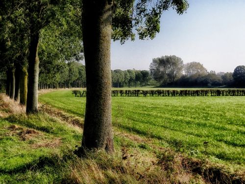 netherlands rural landscape