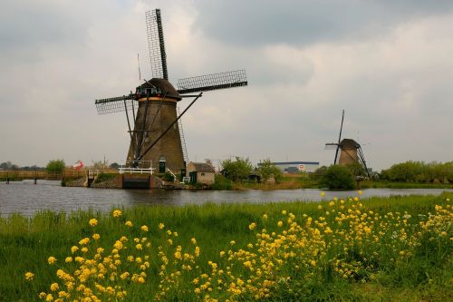 netherlands nature holiday