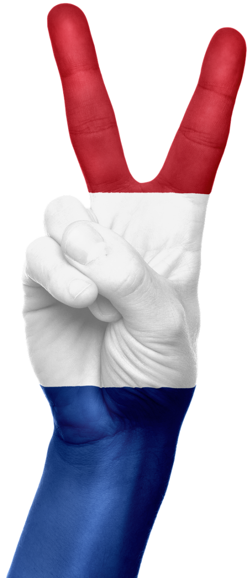 netherlands flag hand