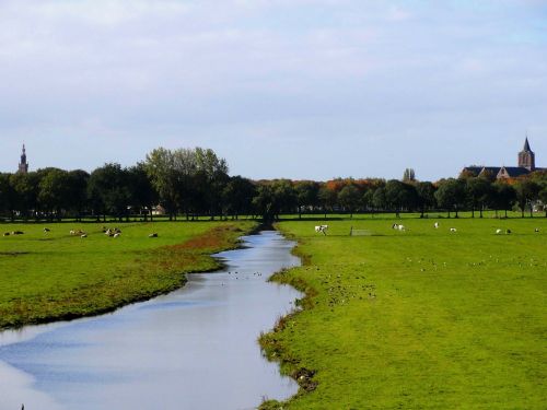 netherlands landscape stream