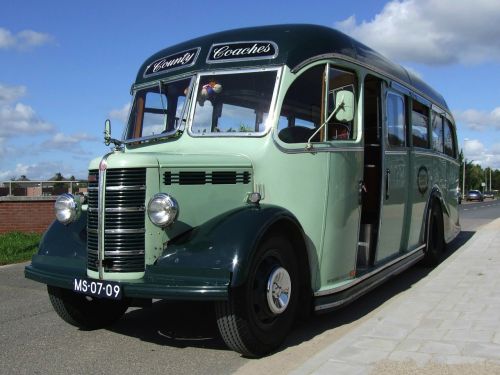 netherlands bus bedford