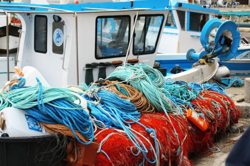 netting port corsican