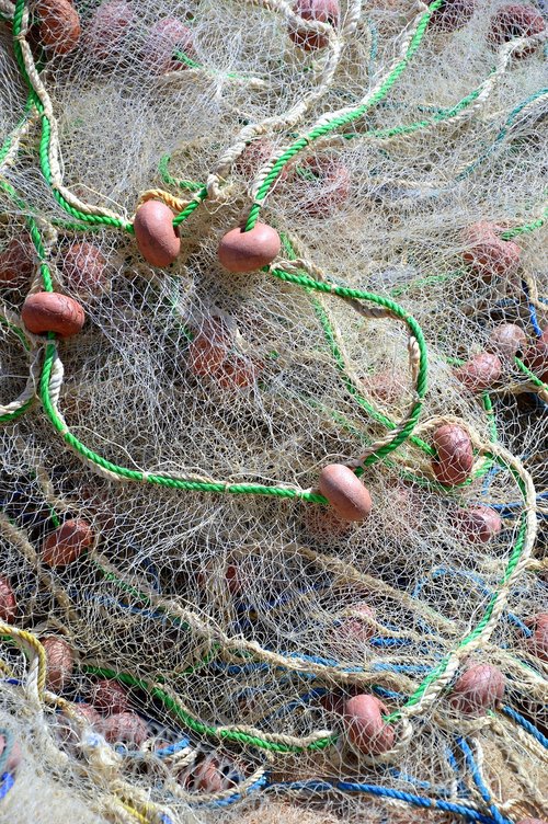 web  fishing net  fishing