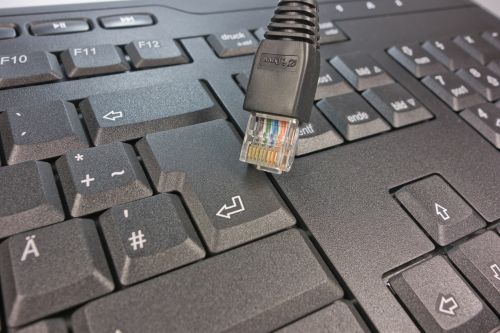 network network cables keyboard