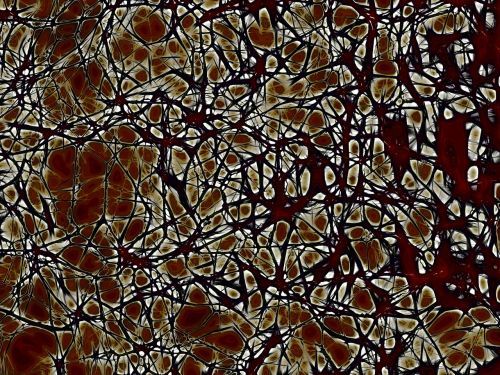 neurons brain cells nachahmnung