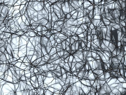 neurons brain cells nachahmnung