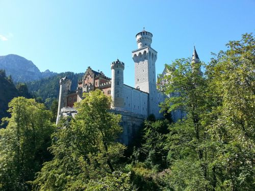 neuschwanstein castle castle neuschwanstein