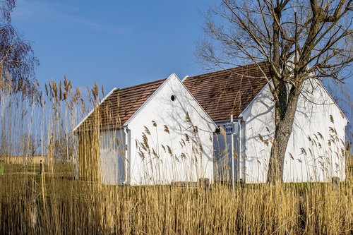 neusiedler see  austria  burgenland