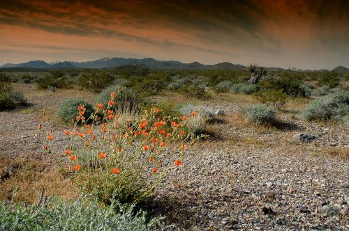 nevada landscape scenic