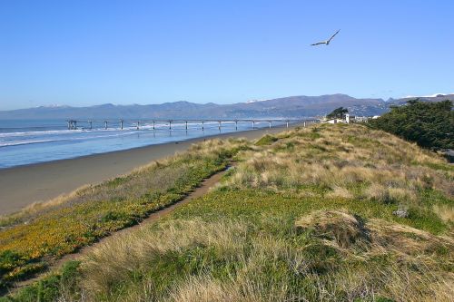 new brighton beach christchurch