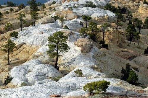 new mexico landscape rocks