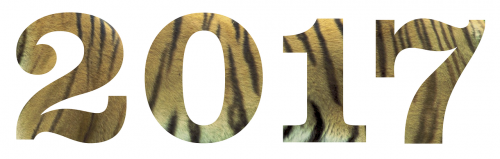 new year 2017 tiger