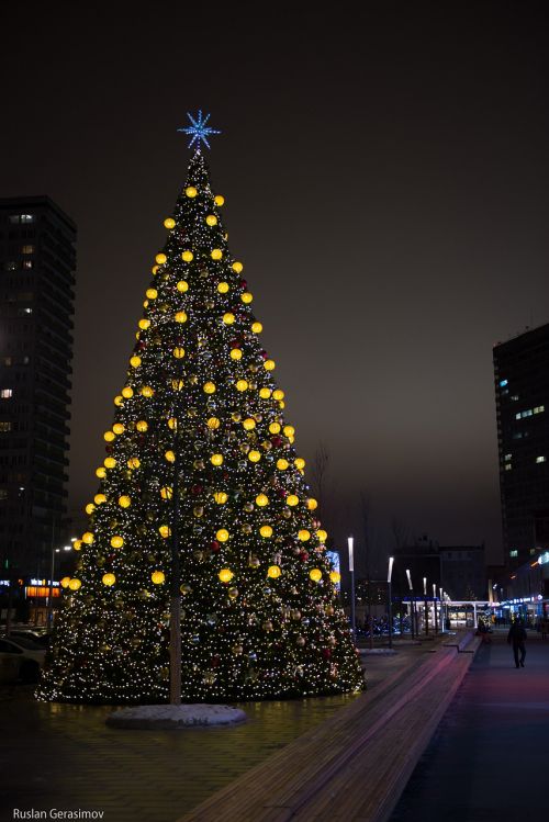 new year's eve holiday christmas tree