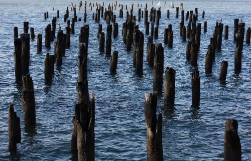 new york docks city