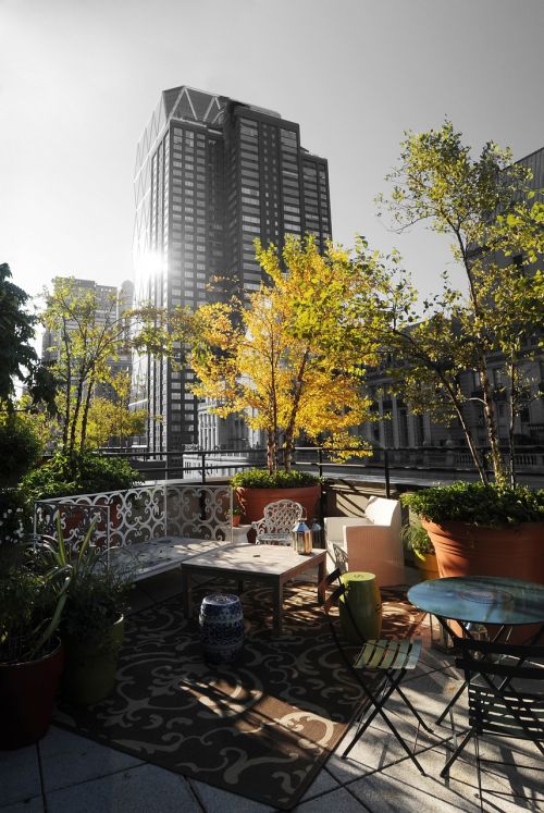 new york hotel garden