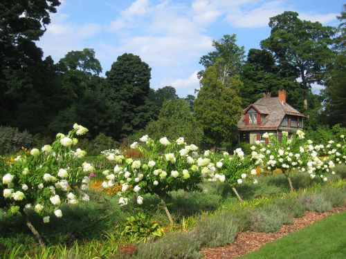 new york locust grove flowers