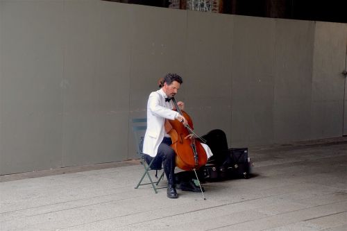 new york city musician cello