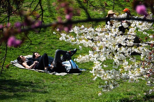 new york city  central park  relaxation