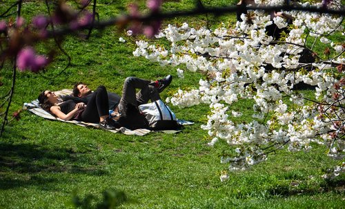 new york city  central park  relaxation