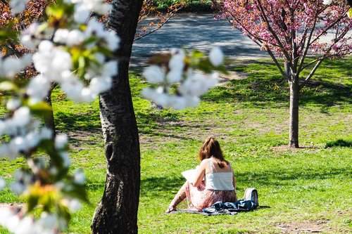 new york city  central park  spring