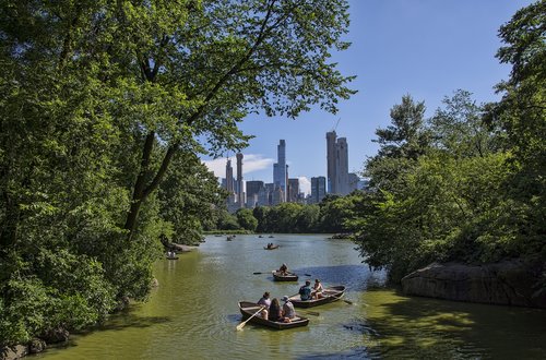 new york city  urban  park