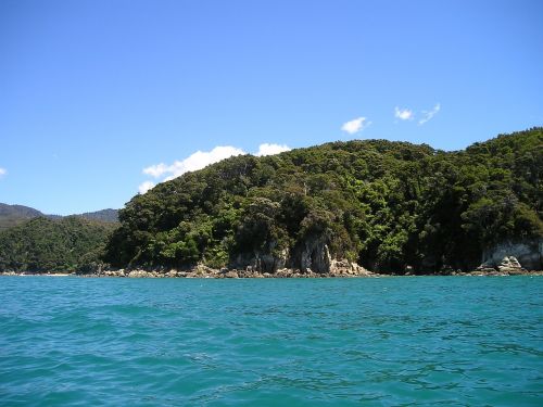 new zealand sea water