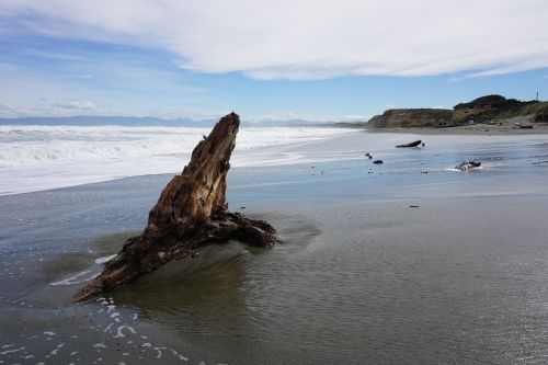 new zealand beach ocean