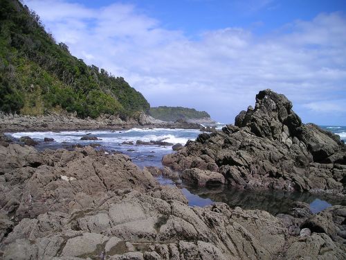 new zealand sea coast