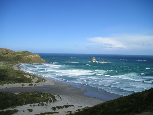 new zealand sea nature