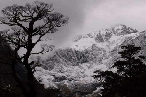 new zealand mountain snow