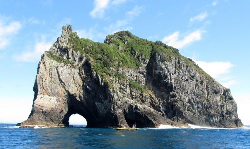 new zealand bay of islands landscape