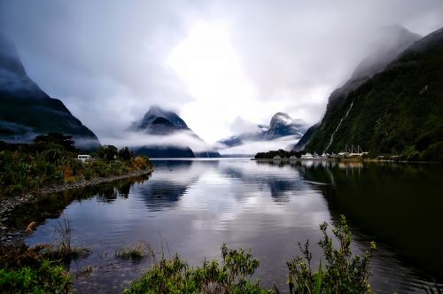 new zealand landscape fog