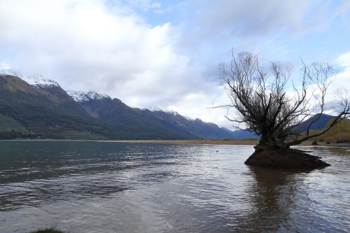 new zealand lake view water the tree