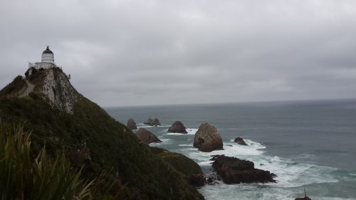 new zealand sea light house