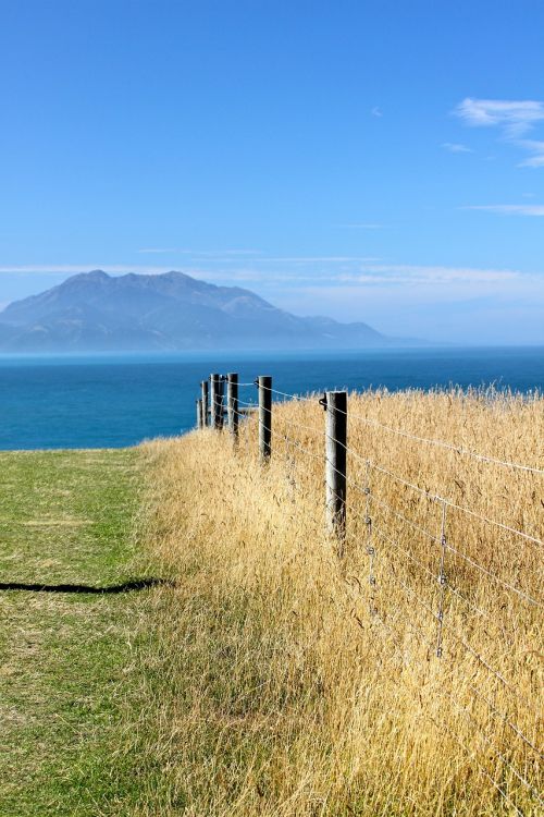 new zealand sunny scenic