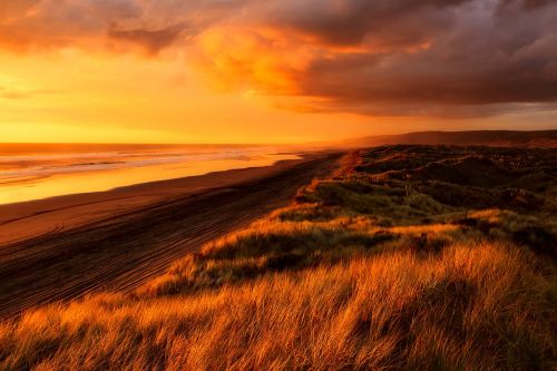 new zealand sunset dusk