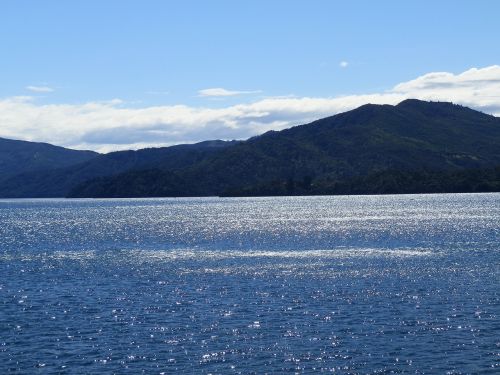 new zealand ocean water