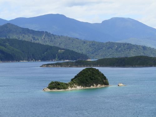 new zealand ocean water