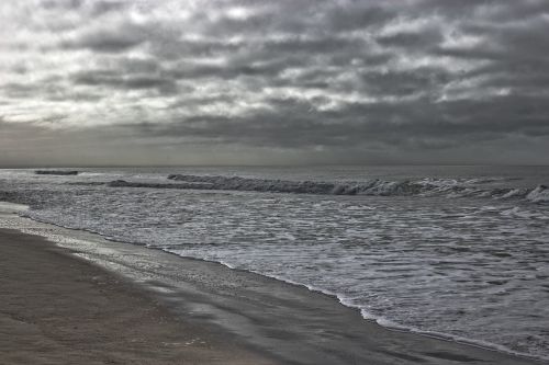 new zealand beach nature