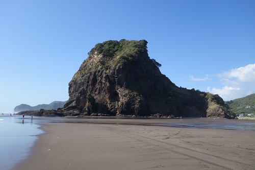 new zealand  north island  beach