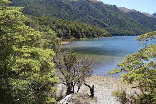 new zealand  south island  water