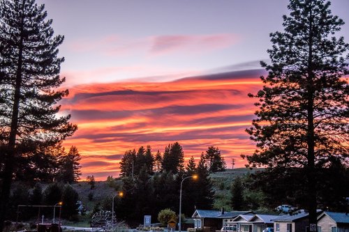 new zealand  nature  sunrise