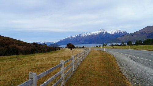 new zealand  travel  road